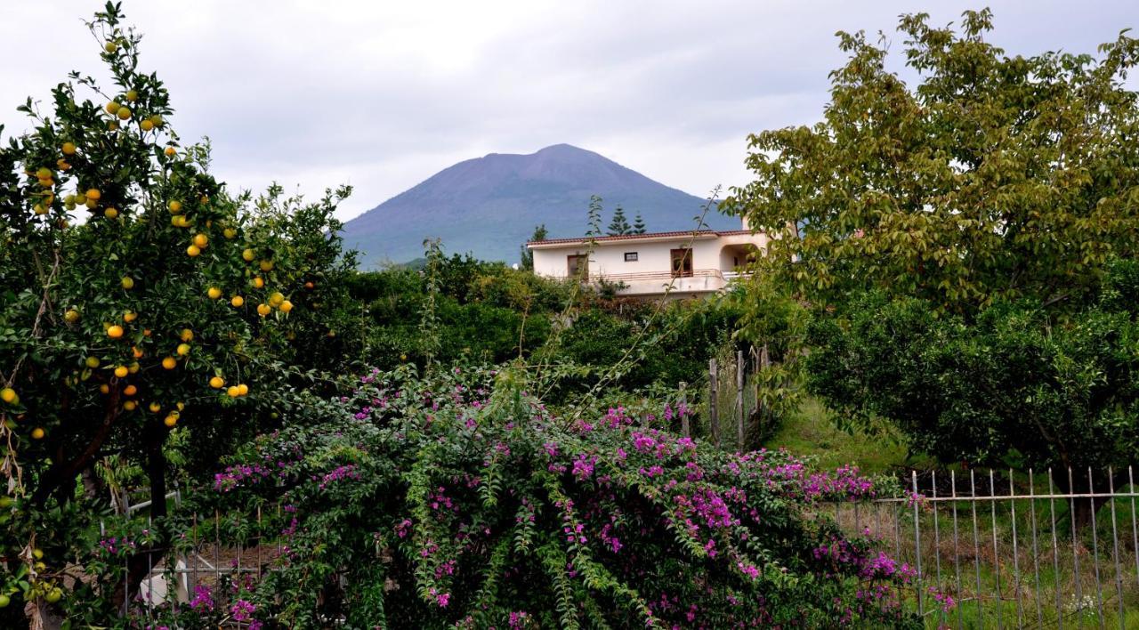 B&B Casa Di Donna Trecase Kültér fotó